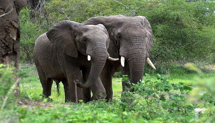 Natural Places in Kadapa